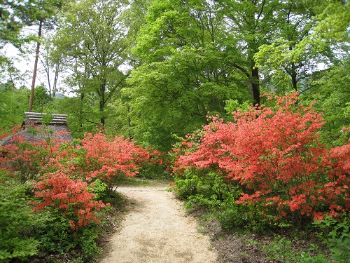 20170519_02.JPG