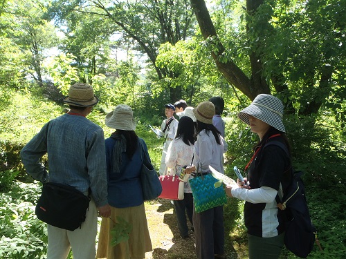 20170612_11.JPG