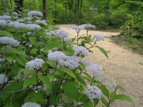 20170612_21.JPG