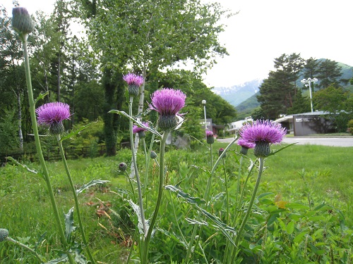 20170614_23.JPG