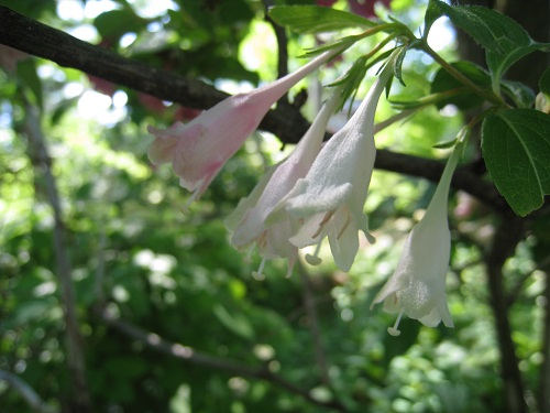 20170614_74.JPG
