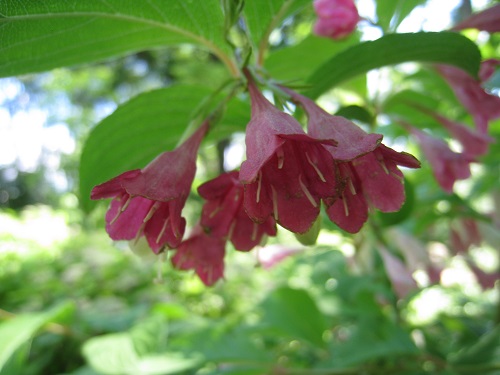 20170614_75.JPG