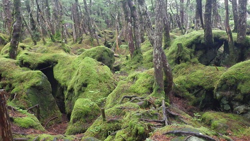 20170807_02.JPG