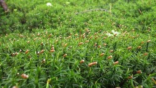 20170807_04.JPG