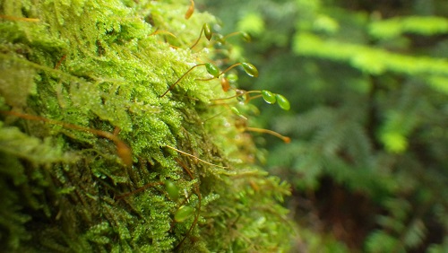 20170807_05.JPG