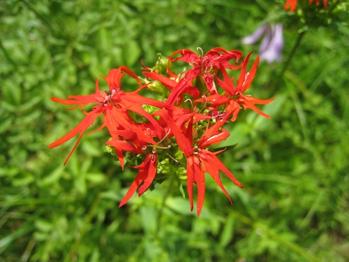 20170818_01.JPG