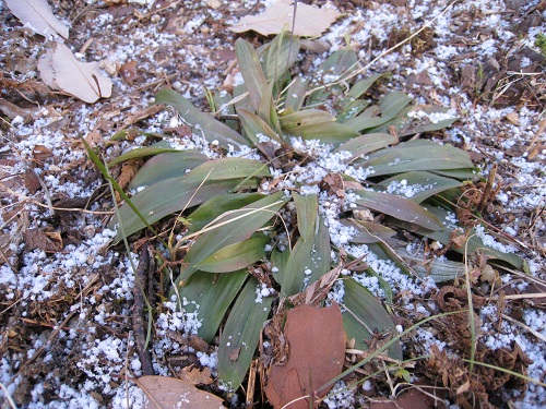 20171206_01.JPG