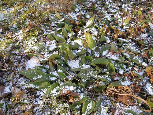 20171206_02.JPG
