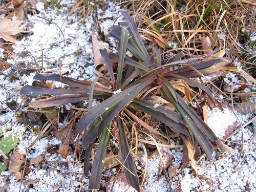 20171206_04.JPG