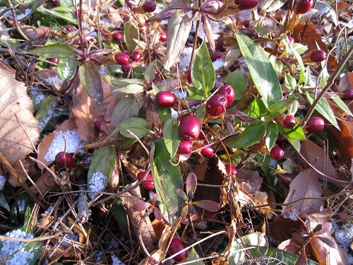 20171206_11.JPG