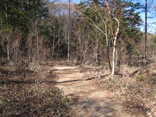 20171208_04.JPG