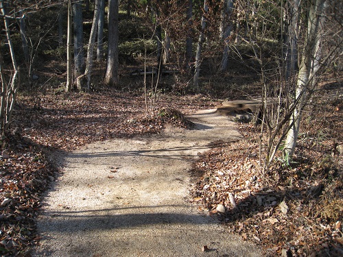 20171208_10.JPG