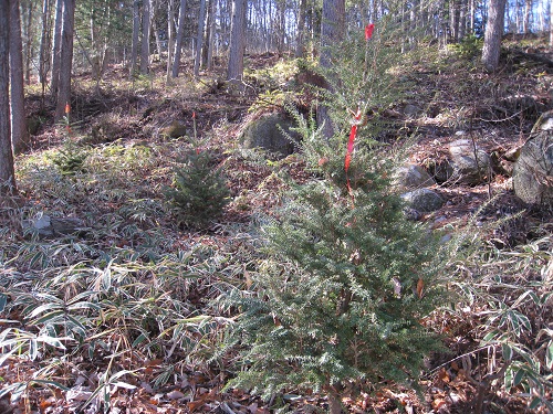 20171208_21.JPG