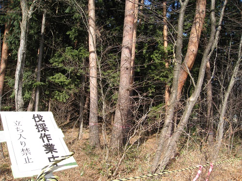 20180117_01.JPG