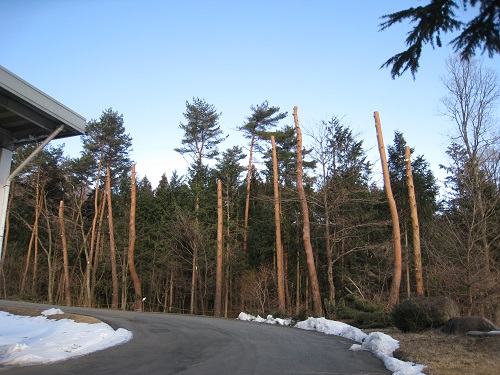 20180220_01.JPG