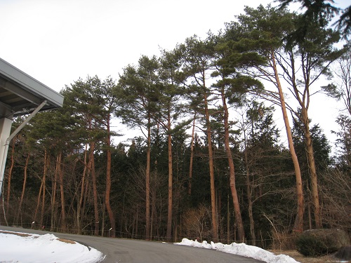 20180220_02.JPG