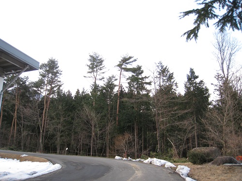 20180220_03.JPG