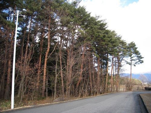 20180316_01.JPG