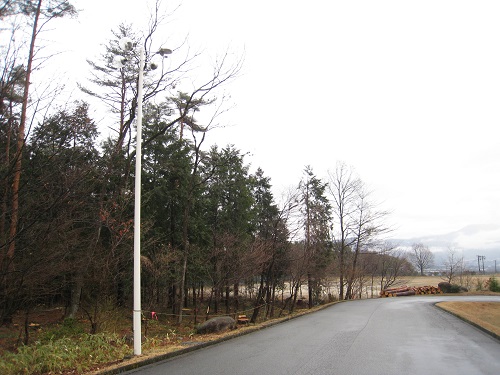 20180316_02.JPG