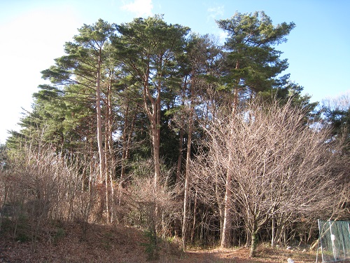 20180316_03.JPG