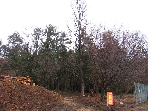 20180316_04.JPG