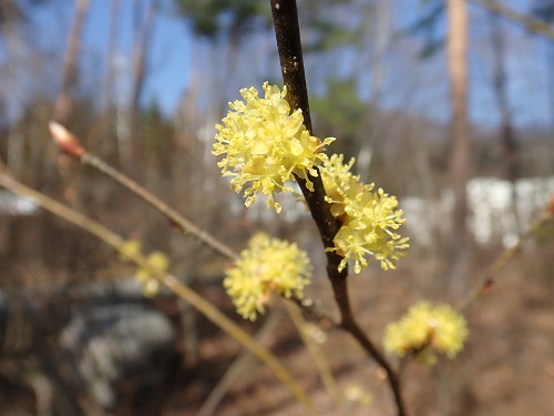 20180329_01.JPG