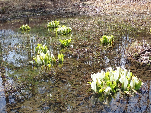 20180329_11.JPG