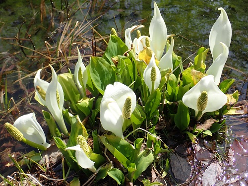 20180329_12.JPG