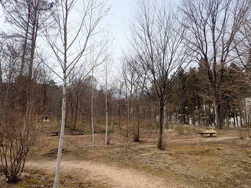 20180329_21.JPG