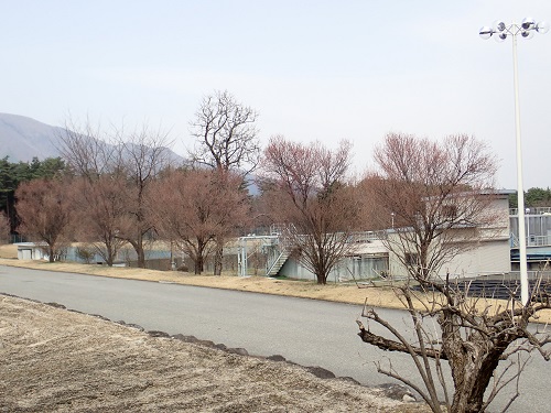20180329_22.JPG