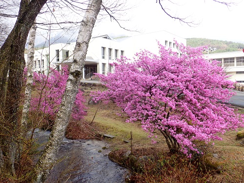 20180406_21.JPG