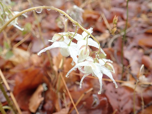20180406_31.JPG