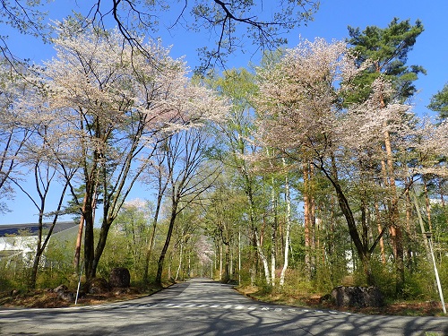 20180423_01.JPG