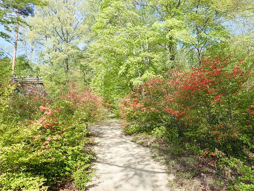 20180430_00.JPG