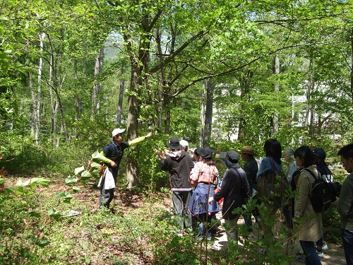 20180430_02.JPG