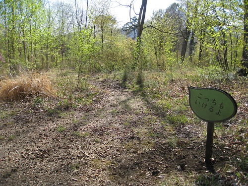 20180511_02.JPG