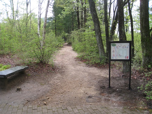 20180511_05.JPG