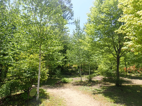 20180511_21.JPG