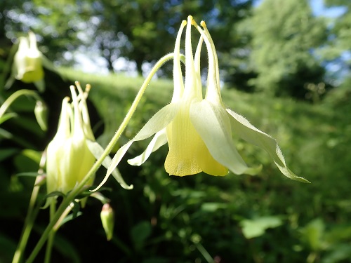 20180607_11.JPG