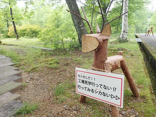 20180615_11.JPG