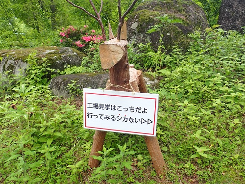 20180615_12.JPG