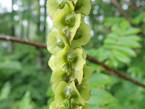 20180627_12.JPG