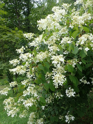 20180711_02.JPG