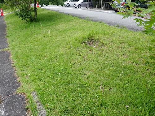 20180711_11.JPG
