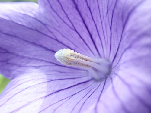 20180718_02.JPG