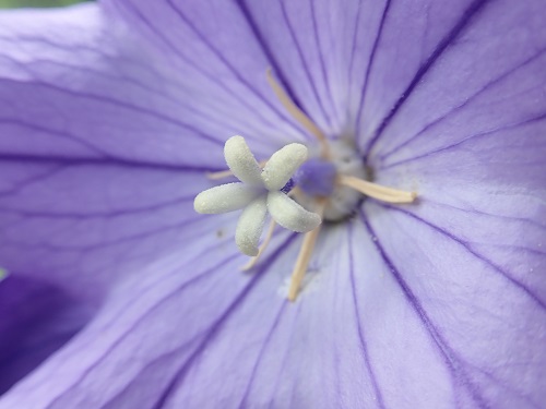 20180718_04.JPG