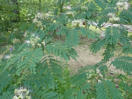 20180725_21.JPG