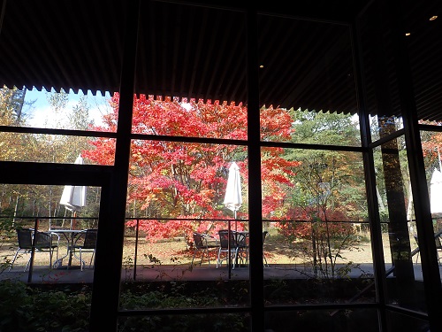 20181031_01.JPG