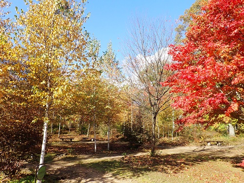 20181031_02.JPG