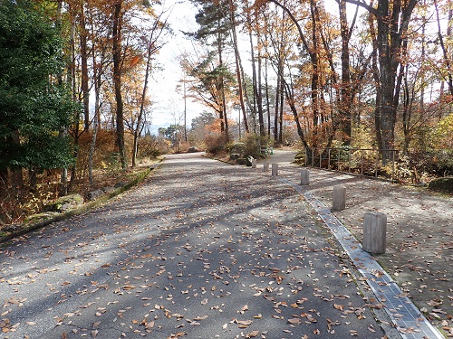 20181112_02.JPG